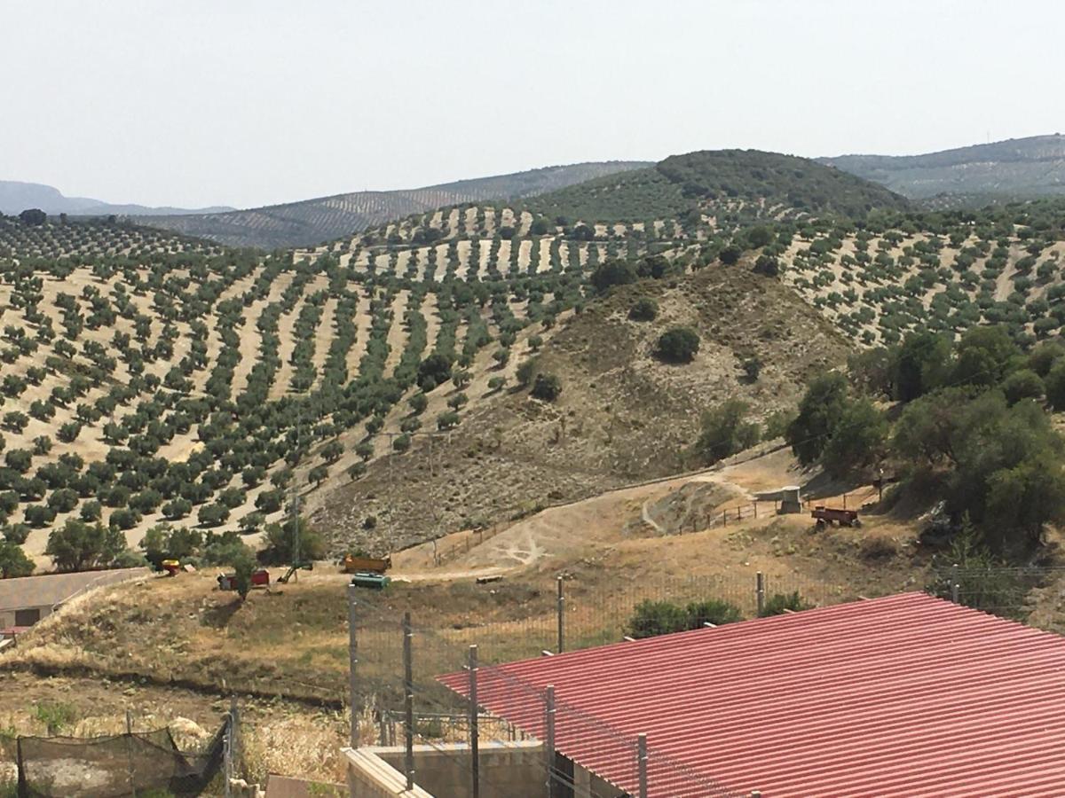 Apartamento Turistico Mirador De Sierra Magina Noalejo Entre Granada Y Jaen ภายนอก รูปภาพ